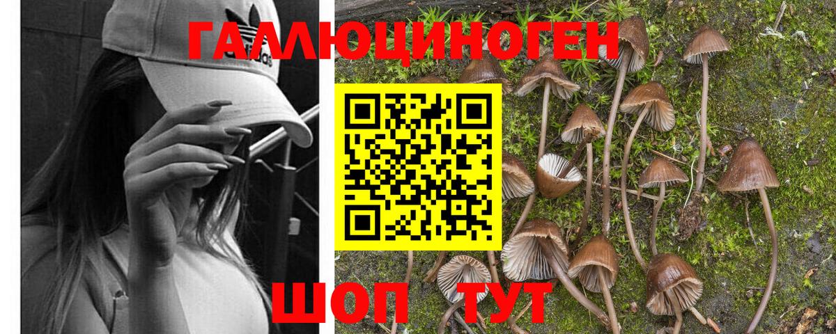 Камень-на-Оби  Галлюциногенные грибы мицелий  Вход с VPN 
