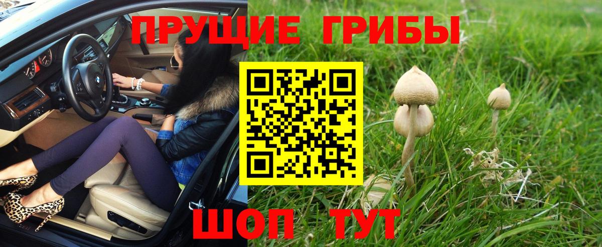 Псилоцибиновые грибы Magic Shrooms Камень-на-Оби